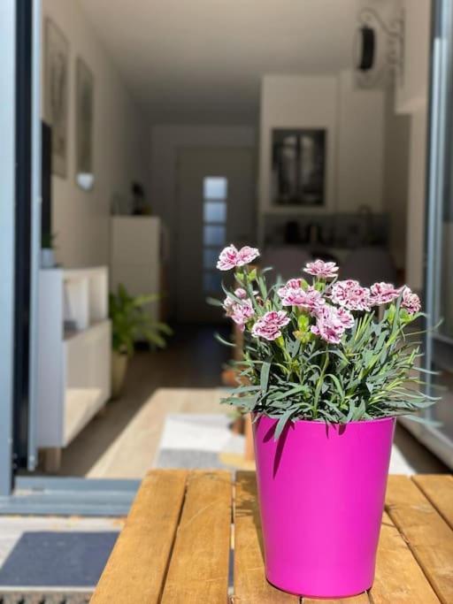 Apartment Cosy Fleur De Lys